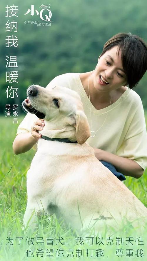 石家庄办毕业证